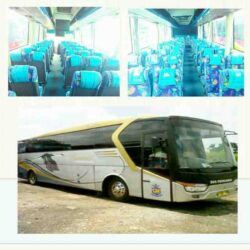 Sewa Bus Pariwisata