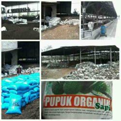 Penjualan Pupuk Kandang