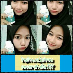 Masker Wajah Herbal