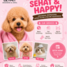 Foto: Grooming Kucing & Anjing Cimahi | Lilypet Grooming & Pet Hotel