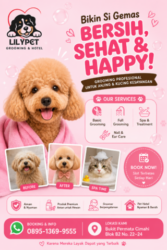 Grooming Kucing & Anjing Cimahi | Lilypet Grooming & Pet Hotel